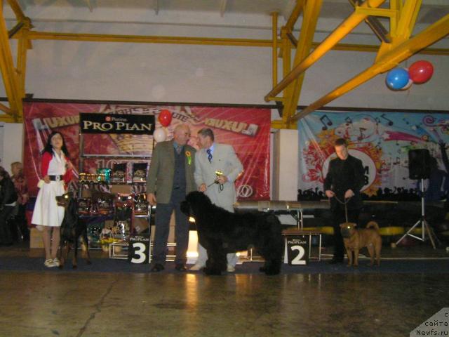 Фотография № 24344