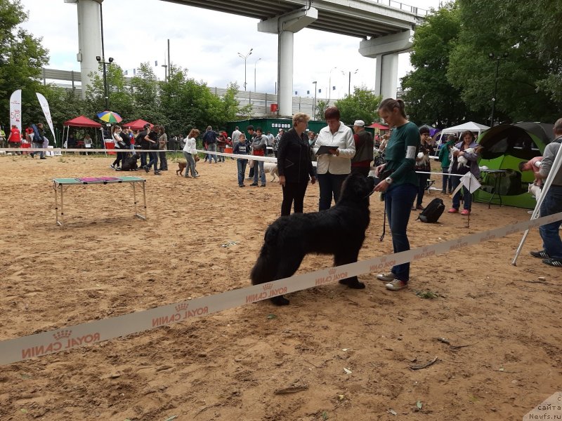 Фотография № 243667