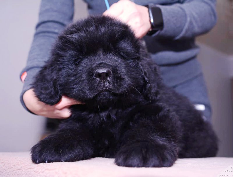 Фотография № 243755