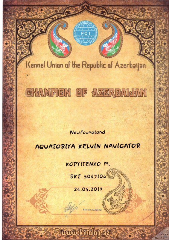 Фото: ньюфаундленд Aquatoriya Kelvin Navigator (Акватория Келвин Навигатор), Mihail Kopyitenko (Михаил Копытенко)