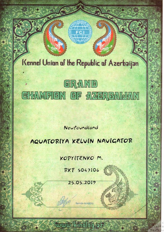 Фото: ньюфаундленд Aquatoriya Kelvin Navigator (Акватория Келвин Навигатор), Mihail Kopyitenko (Михаил Копытенко)