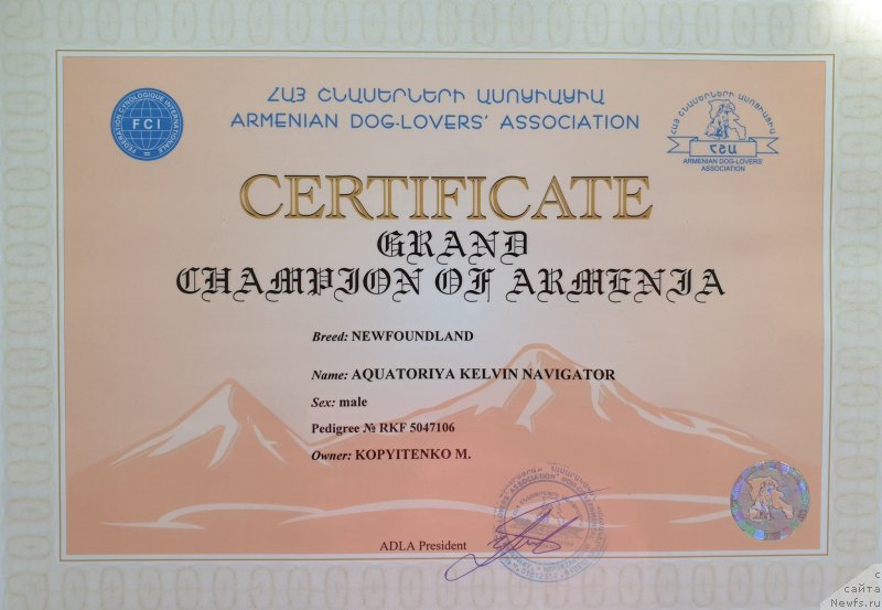 Фото: ньюфаундленд Aquatoriya Kelvin Navigator (Акватория Келвин Навигатор), Mihail Kopyitenko (Михаил Копытенко)