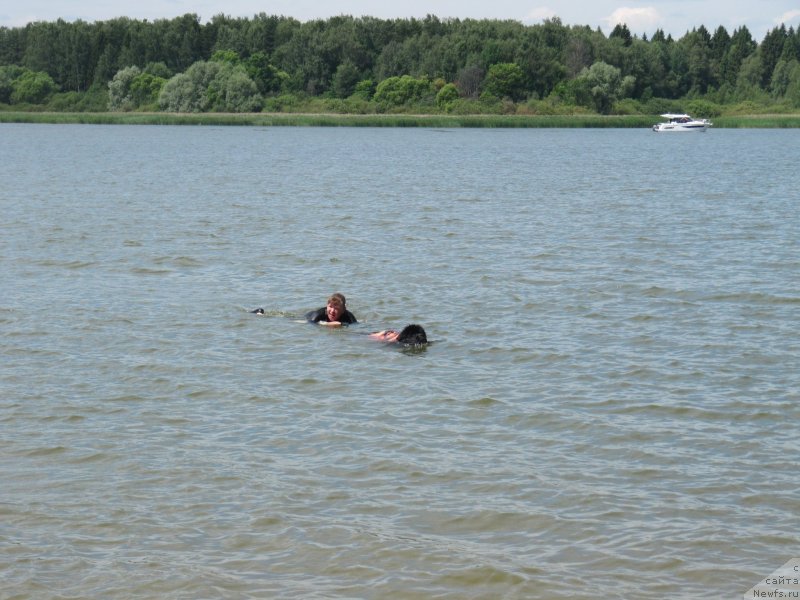 Фотография № 243823