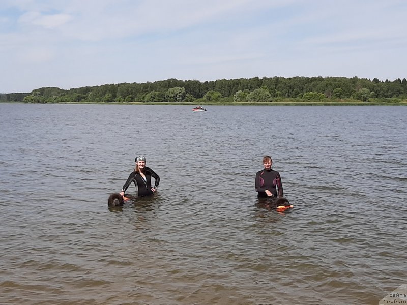 Фотография № 243828