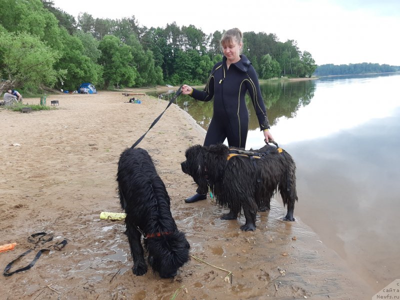 Фотография № 243830