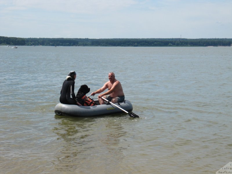 Фотография № 243832