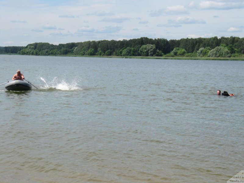 Фотография № 243834