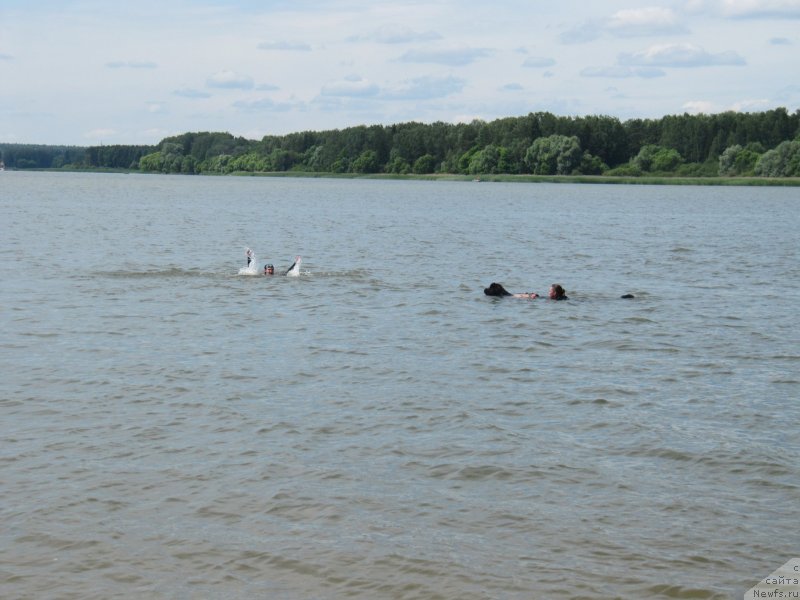 Фотография № 243835