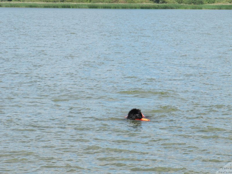 Фотография № 243841