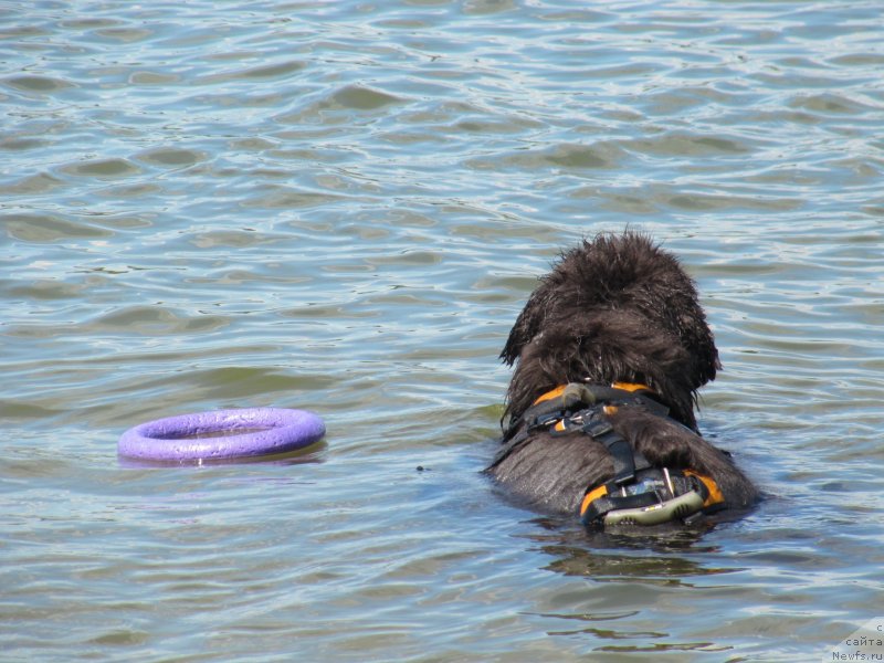 Фотография № 243848