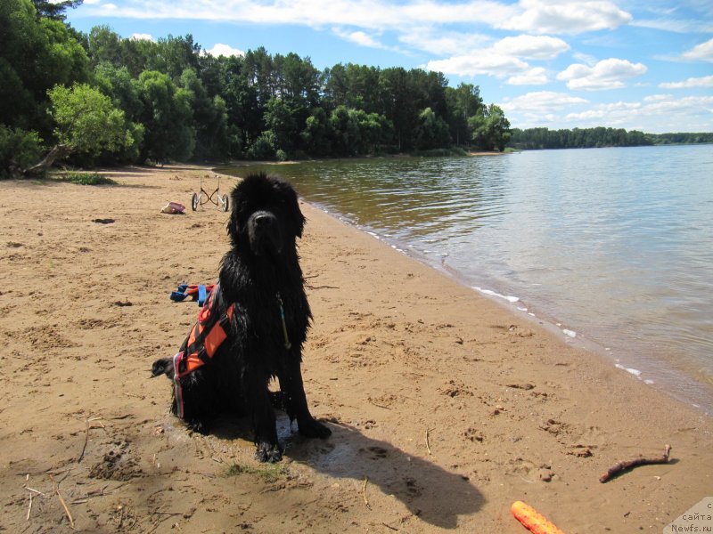 Фотография № 243850