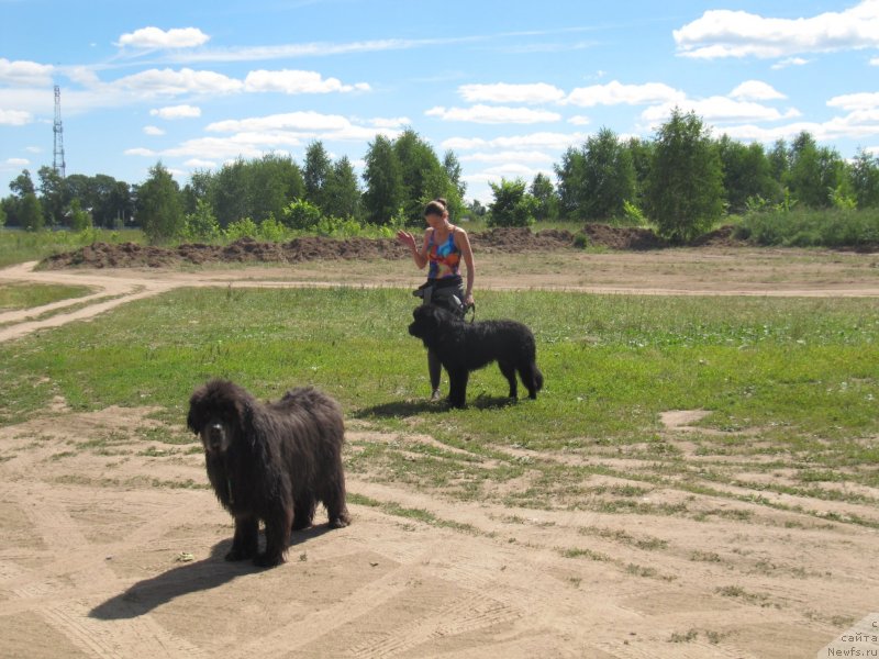 Фотография № 243856