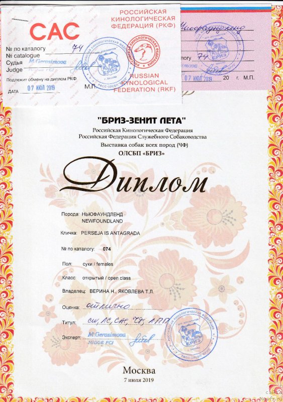 Фотография № 243857