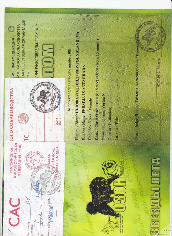 Фотография № 243858