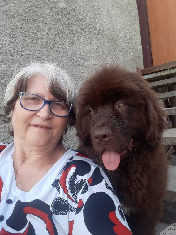 Фотография № 243860