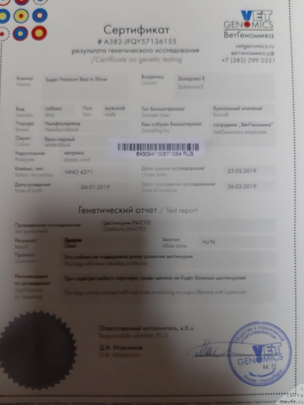 Фотография № 243878