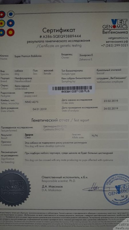 Фотография № 243886