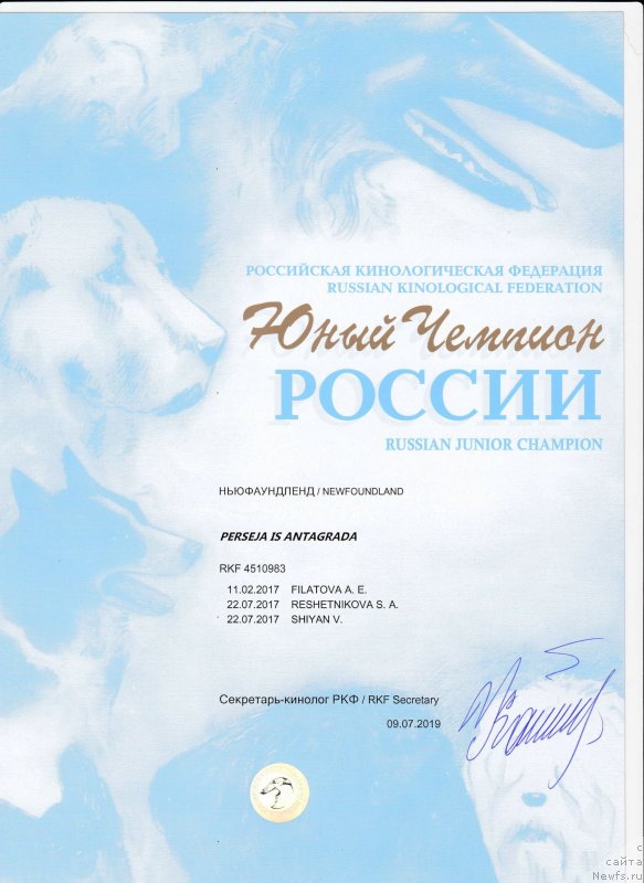 Фотография № 243936