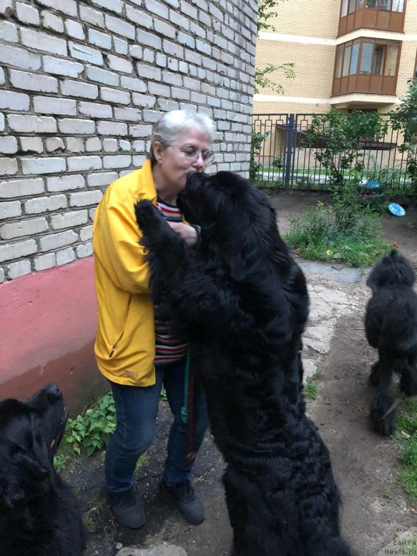 Фотография № 243937