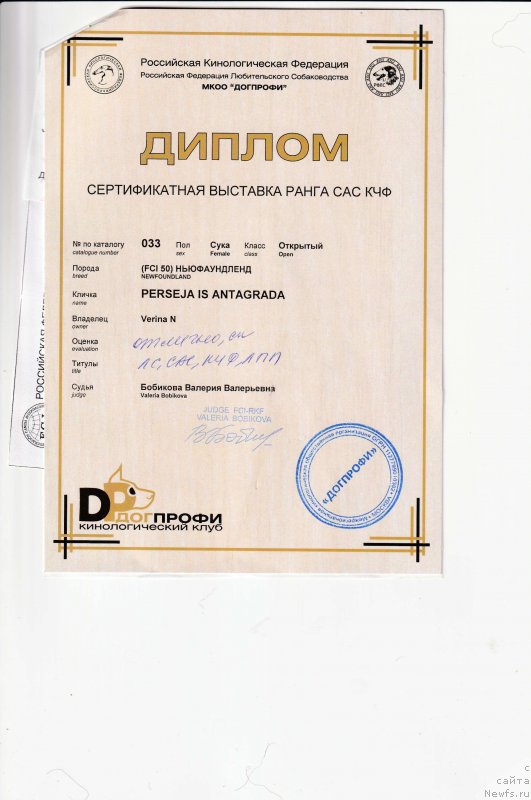 Фотография № 243962