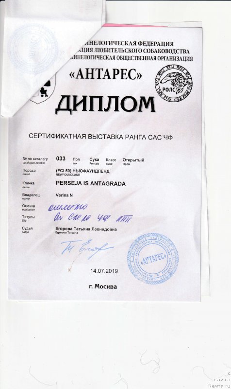 Фотография № 243963