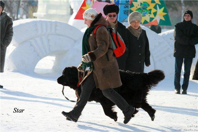 Фотография № 24398