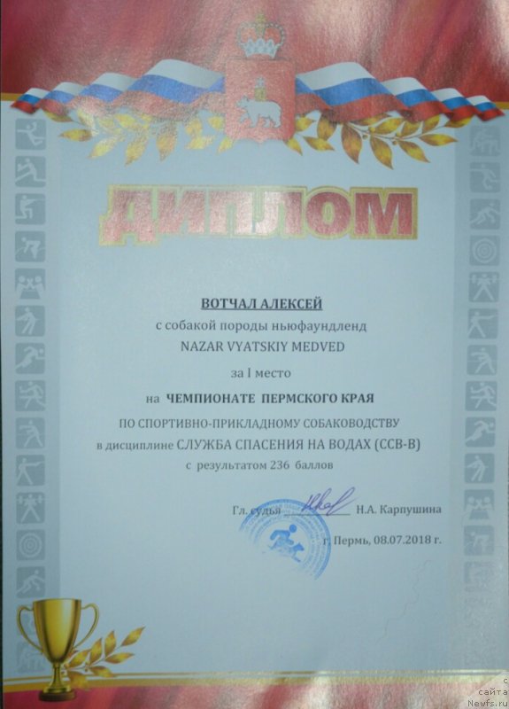 Фото: ньюфаундленд Nazar Vyatskiy Medved (Назар Вятский Медведь)