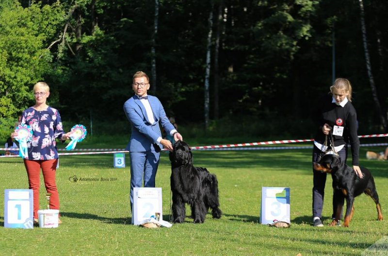 Фотография № 244009