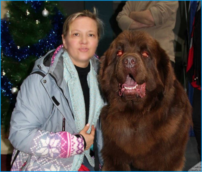 Фотография № 244014