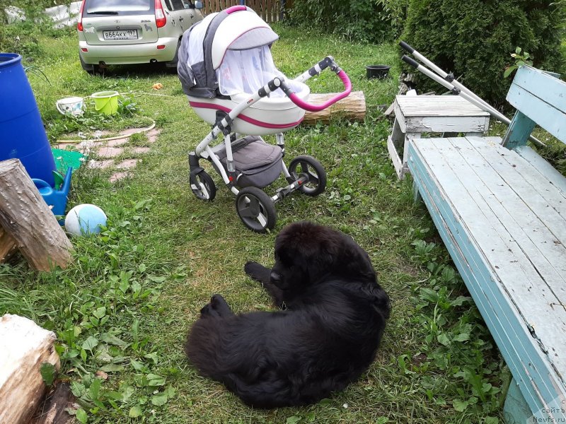 Фотография № 244020