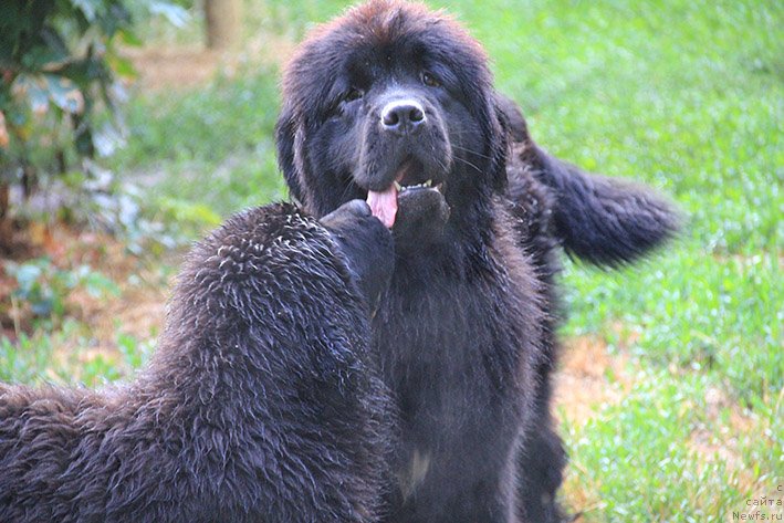 Фотография № 244034