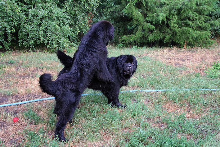 Фотография № 244036