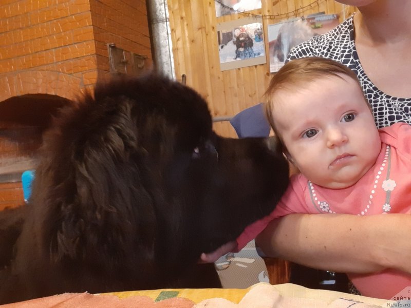 Фотография № 244092