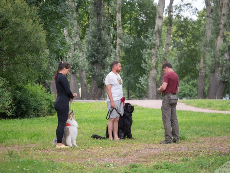 Фотография № 244117