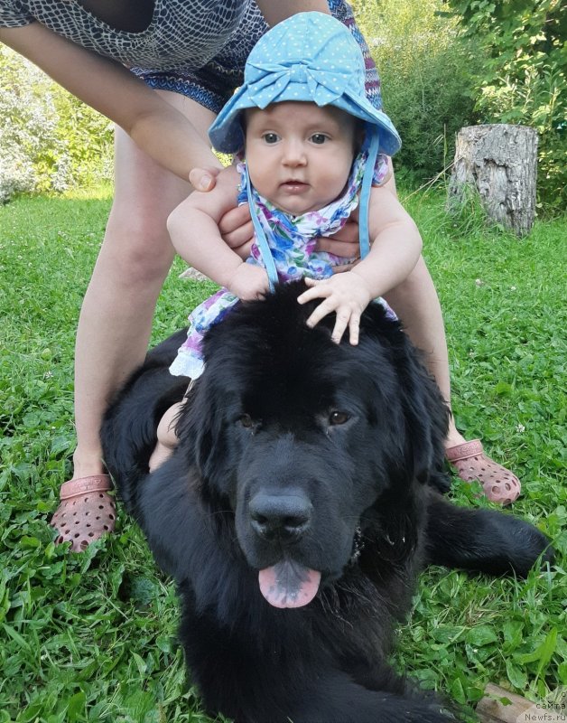 Фотография № 244120