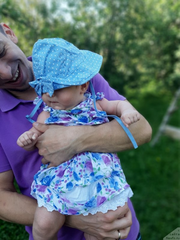 Фотография № 244122