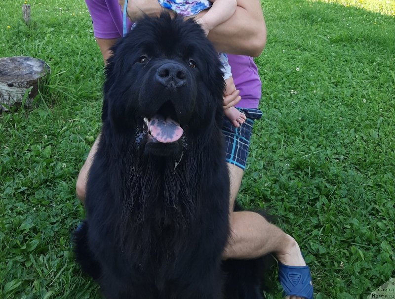 Фотография № 244123