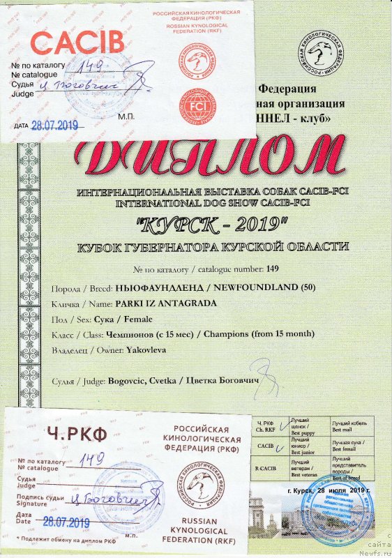 Фото: ньюфаундленд Parki is Antagrada (Парки из Антаграда)