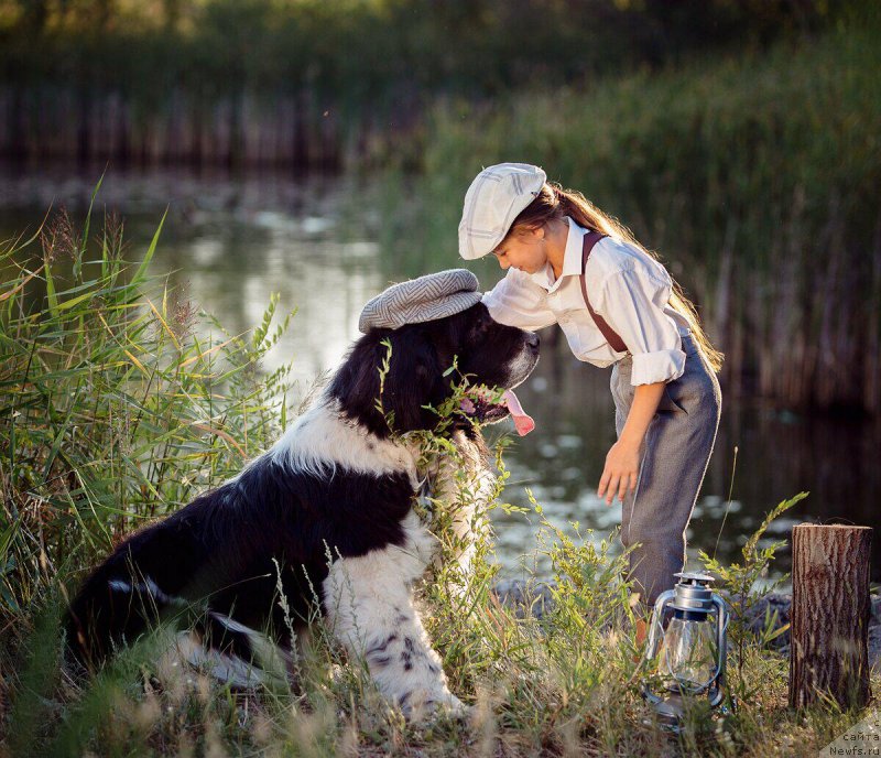 Фотография № 244205