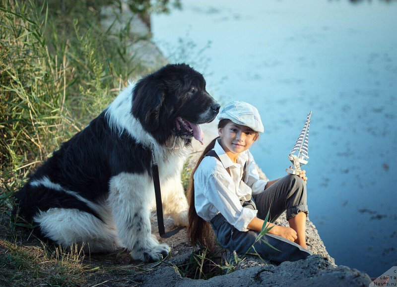 Фотография № 244206