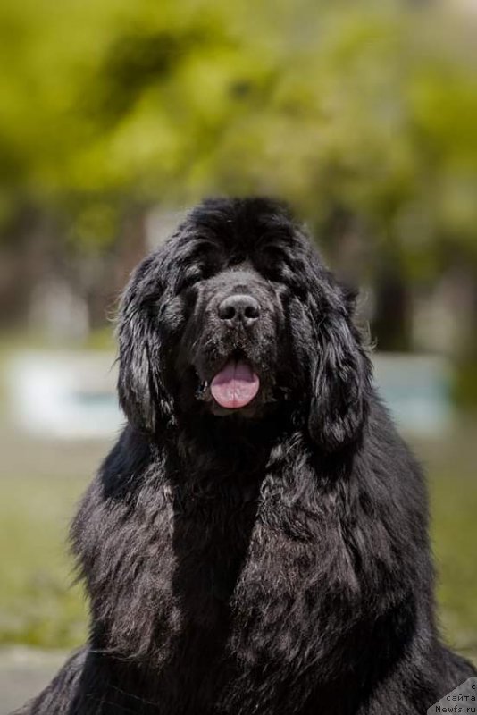 Фото: Anjelika Manshetova (Анжелика Маншетова)