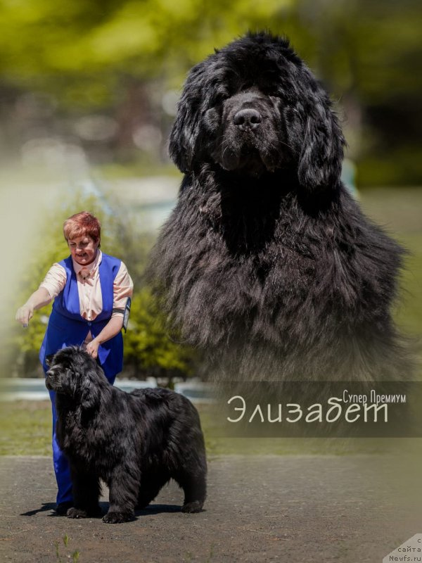 Фото: Anjelika Manshetova (Анжелика Маншетова)