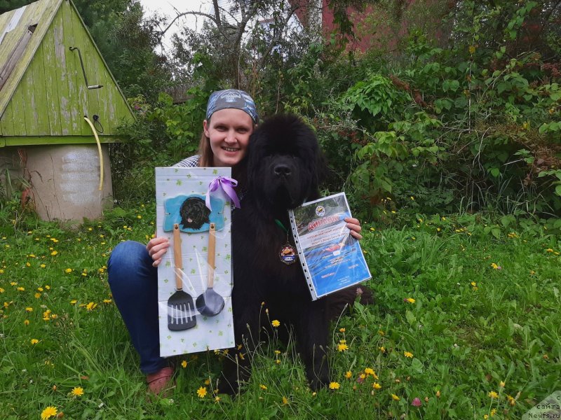 Фотография № 244347