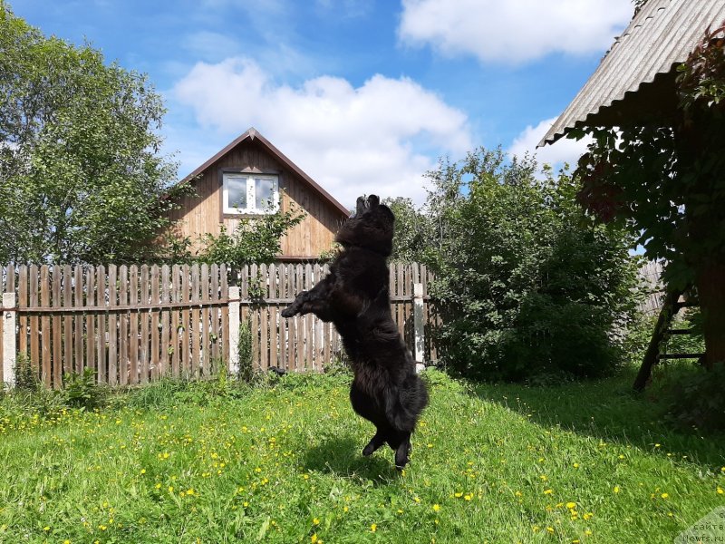 Фотография № 244356