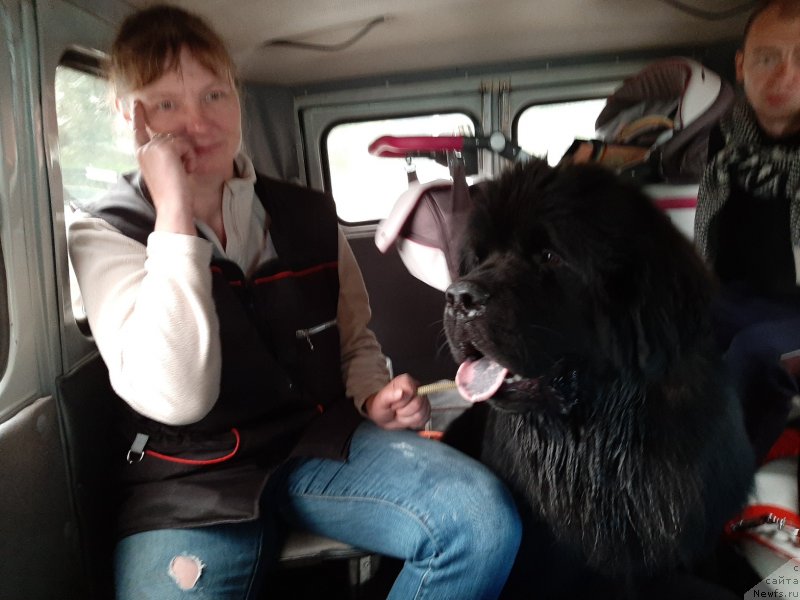 Фотография № 244374