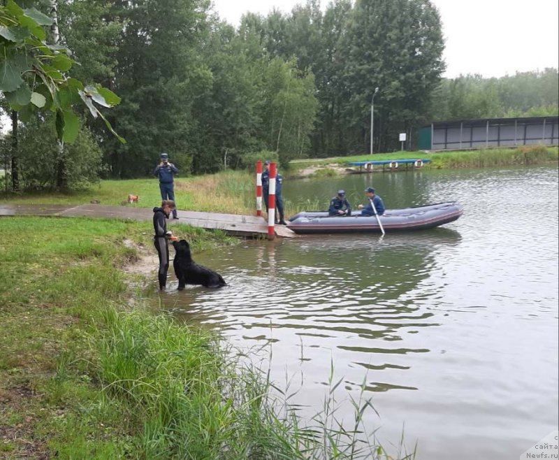 Фотография № 244376