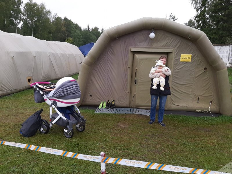 Фотография № 244377