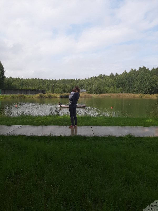 Фотография № 244378