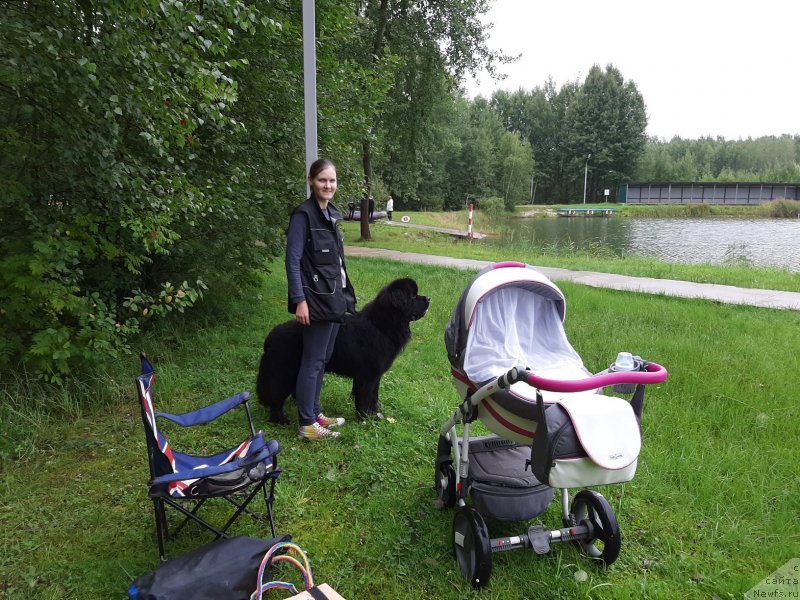 Фотография № 244379