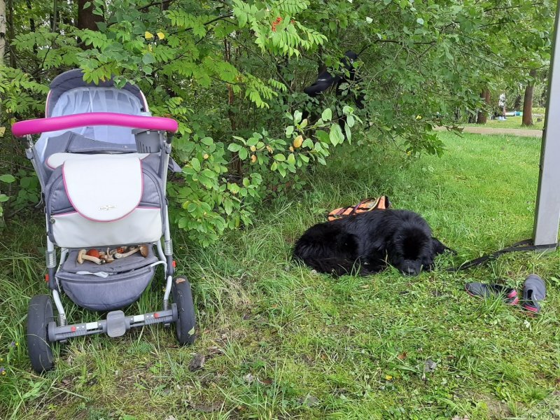 Фотография № 244381